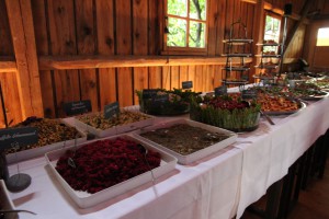 Vegan-Vegetarisches Vorspeisenbuffet, nachhaltige Hochzeit